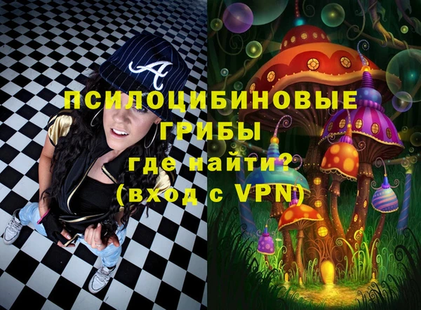a pvp Абаза
