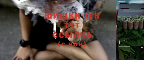 тгк Абинск