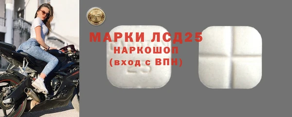 PSILOCYBIN Абдулино