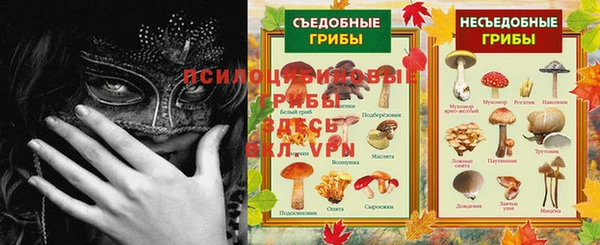 тгк Абинск