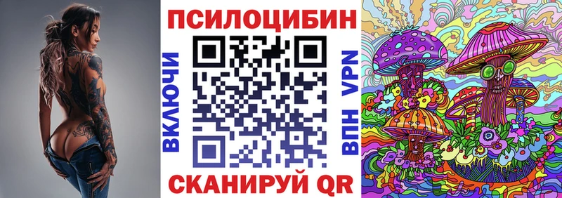 даркнет наркотические препараты  мега ССЫЛКА  Шахунья  Галлюциногенные грибы Psilocybe 